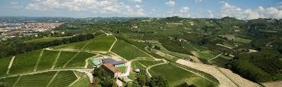 B&B Il Pisolo 阿尔巴 外观 照片