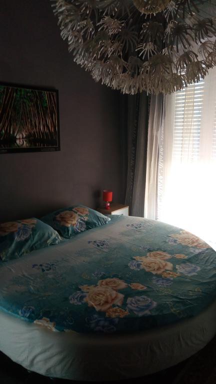 B&B Il Pisolo 阿尔巴 外观 照片
